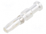 Connector: circular | socket | crimped