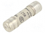 Fuse: fuse | 25A | 690VAC | gR | ceramic,cylindrical,industrial