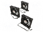 Fan: DC | axial | 12VDC | 120x120x25mm | 31.8dBA | HDB | 500&divide;2000rpm