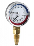 Termomanometrs D80, 0-6bar,0-120&deg;C, 1/2",vertikāls Termomanometrs &Oslash;80mm, vertikāls