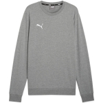 Puma Team Goal Casuals Crew Neck Sweat Grey 658592 33 M