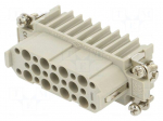 Connector: HDC | contact insert | female | CD | PIN: 25 | 10A | 600V | 25+PE