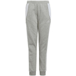 Children's pants adidas Tiro 24 Sweat grey IS1009 164cm