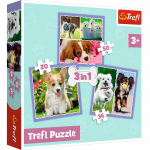 M&auml;nguala | PC | Konsoolid | Tarvikud // Harivad m&auml;nguasjad | Interaktiivsed | Loomingulised | Kunstilised // Puzzle - 3w1 (20, 36, 50) - Urocze pieski - Trefl 34854