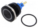 Switch: vandal resistant | Pos: 2 | SPST-NO + SPST-NC | 3A/220VAC