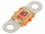 Fuse: fuse | automotive | 30A | 58VDC | medium time-lag | 41.6x12x7.8mm