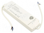 Power supply: switching | LED | 30W | 24VDC | 0&divide;1.25A | 198&divide;264VAC | IP44