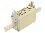 Fuse: fuse | ceramic | 125A | 500VAC | 250VDC | gG | NHC1