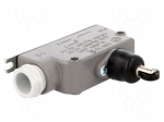 Limit switch | oblong plastic roller | SPDT | 6A | max.400VAC | IP56