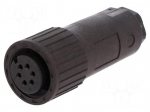 Connector: circular | plug | Series: CM | IP67 | PIN: 6 | female | 10A | 50V