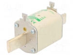 Fuse: fuse | aM | 160A | 690VAC | ceramic,industrial | NH1 | WT-NH