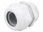 Cable gland | PG36 | IP68 | Mat: polyamide | light grey | UL94V-0