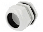 Cable gland | PG48 | IP67 | Mat: polyamide | grey