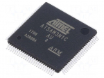 IC: ARM microcontroller | LQFP100 | 1.8&divide;3.3VDC | Ext.inter: 79