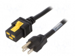 Cable | 3x14AWG | IEC C19 female,NEMA 5-15 (B) plug | PVC | 6m | black