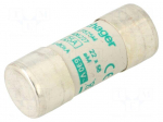Fuse: fuse | 25A | 690VAC | aM | cylindrical,industrial | 22x58mm