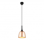 Trio-Lighting Chiron  E27 20 cm matt brass piekaramā lampa