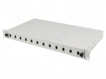 Fiber patch panel | grey | Number of ports: 12 | 19" | rack 19"