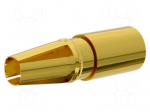 Contact | female | Gecko | Gecko,Gecko-MT | gold-plated | 18AWG | 10A