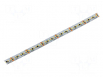 LED tape | white cold | 2216 | LED/m: 240 | 8mm | white PCB | IP20 | 120&deg;