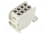 Splice terminal: distribution block | for DIN rail mounting