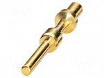 Contact | male | CuZn | gold-plated | crimped