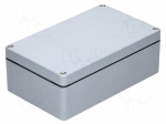 Enclosure: multipurpose | X: 160mm | Y: 260mm | Z: 91mm | polyester | grey
