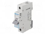 Circuit breaker | 230VAC | Inom: 25A | Poles: 1 | DIN | Charact: B | 6kA