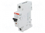 Circuit breaker | 230VAC | Inom: 40A | Poles: 1 | DIN | Charact: C | 6kA