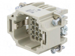Connector: HDC | contact insert | male | EPIC H-DD | PIN: 24 | 10A | 250V
