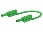 Test lead | 10A | banana plug 2mm,both sides | Urated: 600V | green