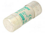 Fuse: fuse | 32A | 690VAC | aM | cylindrical,industrial | 22x58mm