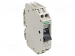 Motor breaker | 250VAC | for DIN rail mounting | IP20 | -20&divide;60&deg;C