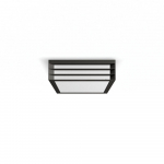 PHILIPS Moonshine Pendant Ceiling anthracite 2x gaismeklis