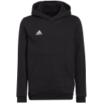 Sweatshirt for kids adidas Entrada 22 Hoody black H57516 164cm