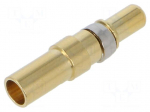 Contact | male | copper alloy | gold-plated | 12AWG&divide;10AWG | crimped