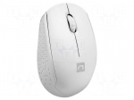 Mouse | STORK | white | USB A | wireless,optical | No.of butt: 3 | 10m