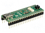 Dev.kit: ARM ST | STM32F415RG | USB B mini,pin strips