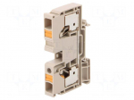 Splice terminal: rail | 10mm2 | ways: 1 | terminals: 2 | beige | wemid
