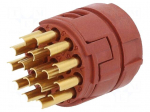 Connector: M23 | PIN: 17 | female | soldering | Series: M23