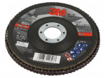 Flap grinding wheels | &Oslash;: 125mm | Granularity: 60 | 22mm