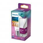 PHILIPS LED stikla Scene Switch 3 spožuma līmeņu 60W A60 E27WWmatēta spuldze 8719514263963 929002445517