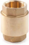 Non-return valve (metal disc) 21/2''