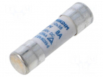 Fuse: fuse | 8A | 1kVDC | gPV | cylindrical | 10x38mm