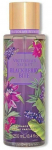 Victoria's Secret Blackberry Bite Perfume BOR 250 ml