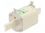Fuse: fuse | aM | 25A | 690VAC | ceramic,industrial | NH1 | WT-NH