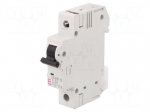 Circuit breaker | 230/400VAC | Inom: 32A | Poles: 1 | Charact: C | 10kA
