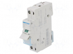 Switch-disconnector | Poles: 1 | for DIN rail mounting | 25A | 230VAC
