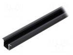 Profiles for LED modules | black | L: 2m | SMART-IN10 | aluminium