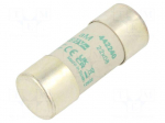 Fuse: fuse | 40A | 690VAC | aM | ceramic,cylindrical,industrial